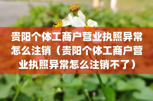 贵阳个体工商户营业执照异常怎么注销（贵阳个体工商户营业执照异常怎么注销不了）