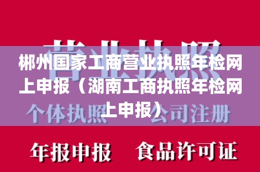 郴州国家工商营业执照年检网上申报（湖南工商执照年检网上申报）