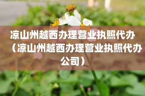 凉山州越西办理营业执照代办(凉山州越西办理营业执照代办公司)