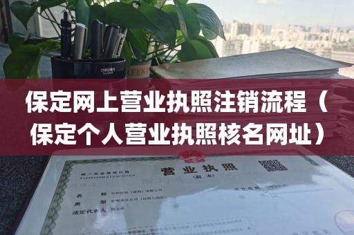 保定网上营业执照注销流程（保定个人营业执照核名网址）