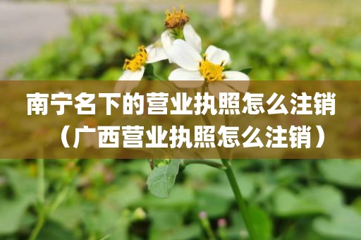 南宁名下的营业执照怎么注销（广西营业执照怎么注销）