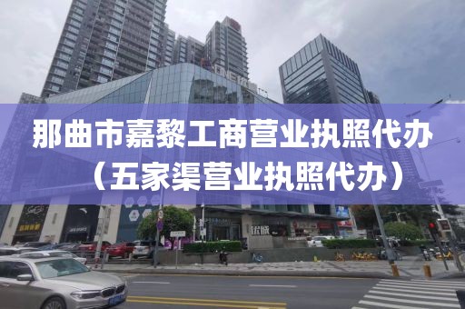 那曲市嘉黎工商营业执照代办(五家渠营业执照代办)