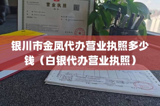 银川市金凤代办营业执照多少钱(白银代办营业执照)