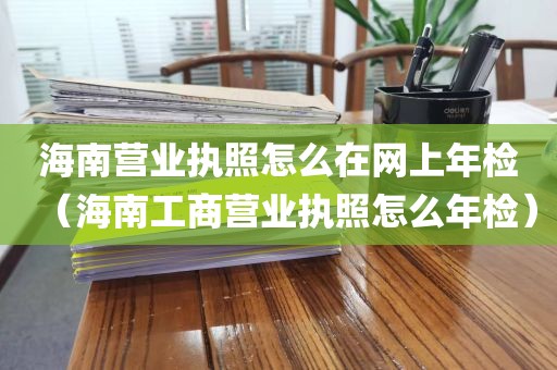海南营业执照怎么在网上年检（海南工商营业执照怎么年检）