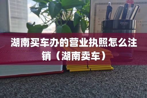 湖南买车办的营业执照怎么注销（湖南卖车）