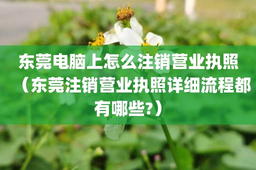 东莞电脑上怎么注销营业执照（东莞注销营业执照详细流程都有哪些?）