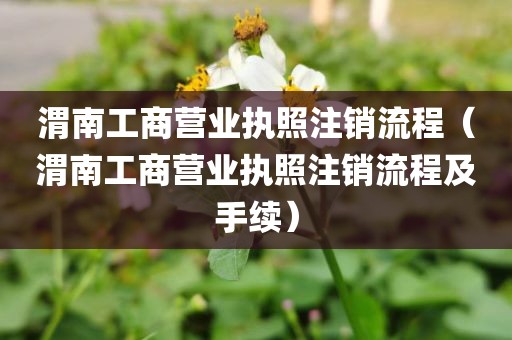 渭南工商营业执照注销流程（渭南工商营业执照注销流程及手续）