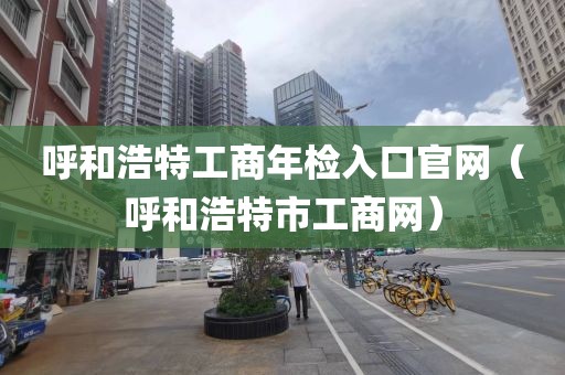 呼和浩特工商年检入口官网(呼和浩特市工商网)