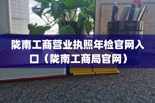 陇南工商营业执照年检官网入口（陇南工商局官网）