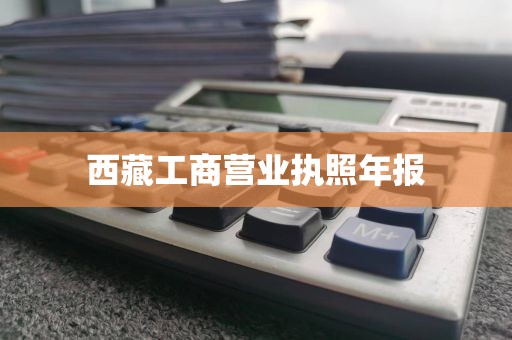 西藏工商营业执照年报