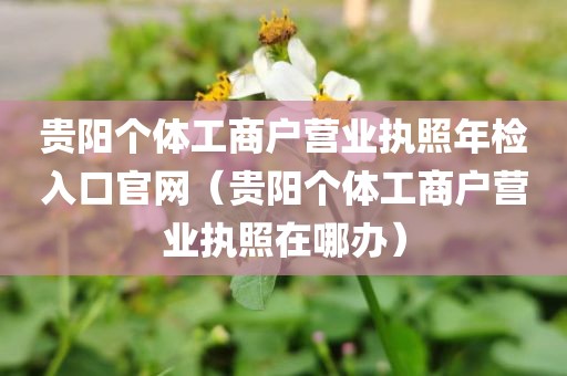 贵阳个体工商户营业执照年检入口官网（贵阳个体工商户营业执照在哪办）