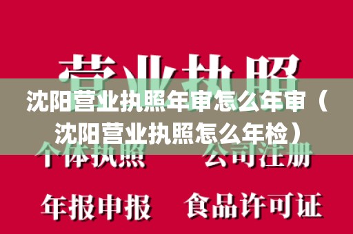 沈阳营业执照年审怎么年审（沈阳营业执照怎么年检）