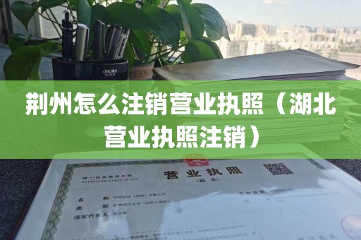 荆州怎么注销营业执照（湖北营业执照注销）