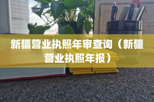 新疆营业执照年审查询（新疆营业执照年报）