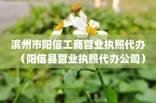 滨州市阳信工商营业执照代办（阳信县营业执照代办公司）