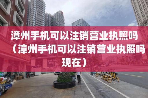漳州手机可以注销营业执照吗（漳州手机可以注销营业执照吗现在）