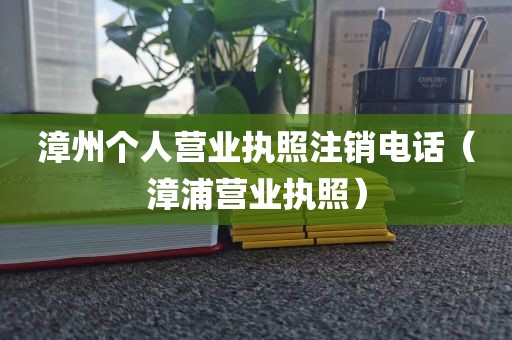 漳州个人营业执照注销电话（漳浦营业执照）