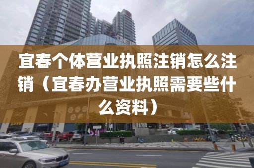 宜春个体营业执照注销怎么注销（宜春办营业执照需要些什么资料）