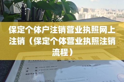 保定个体户注销营业执照网上注销（保定个体营业执照注销流程）