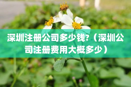 深圳注册公司多少钱?（深圳公司注册费用大概多少）