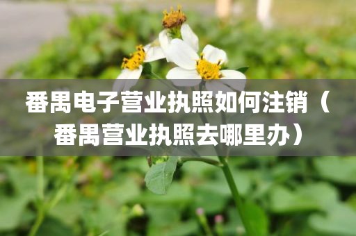 番禺电子营业执照如何注销（番禺营业执照去哪里办）