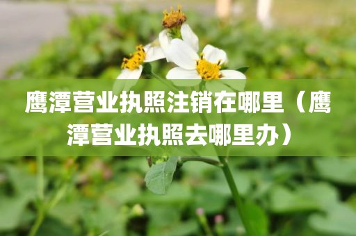 鹰潭营业执照注销在哪里（鹰潭营业执照去哪里办）