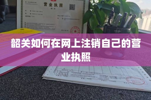 韶关如何在网上注销自己的营业执照