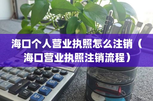 海口个人营业执照怎么注销（海口营业执照注销流程）