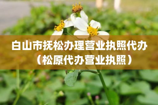 白山市抚松办理营业执照代办（松原代办营业执照）