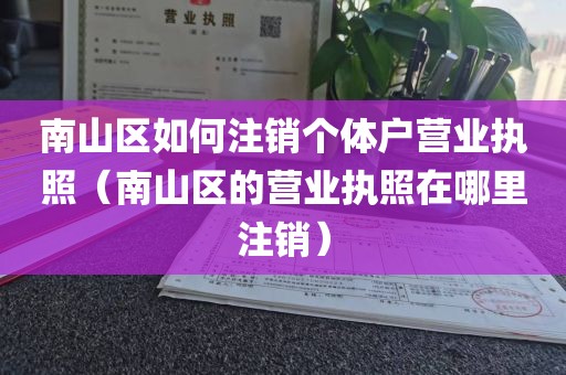 南山区如何注销个体户营业执照（南山区的营业执照在哪里注销）