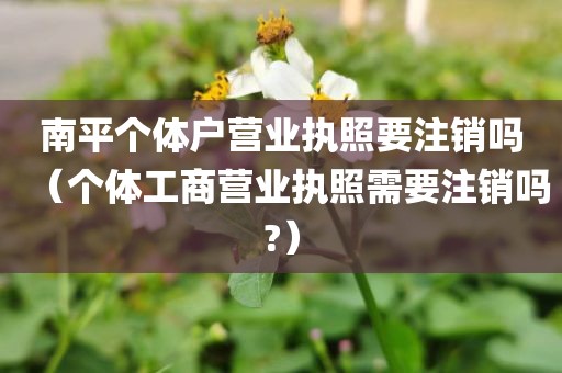 南平个体户营业执照要注销吗(个体工商营业执照需要注销吗?)