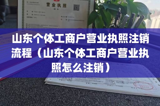 山东个体工商户营业执照注销流程（山东个体工商户营业执照怎么注销）