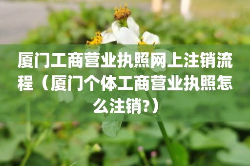 厦门工商营业执照网上注销流程（厦门个体工商营业执照怎么注销?）
