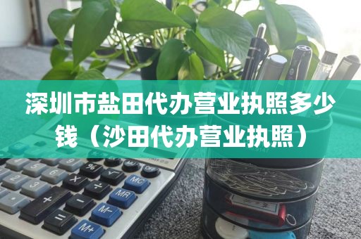 深圳市盐田代办营业执照多少钱（沙田代办营业执照）