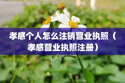 孝感个人怎么注销营业执照(孝感营业执照注册)