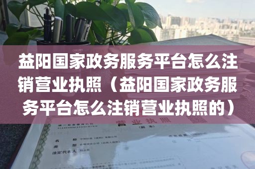 益阳国家政务服务平台怎么注销营业执照（益阳国家政务服务平台怎么注销营业执照的）