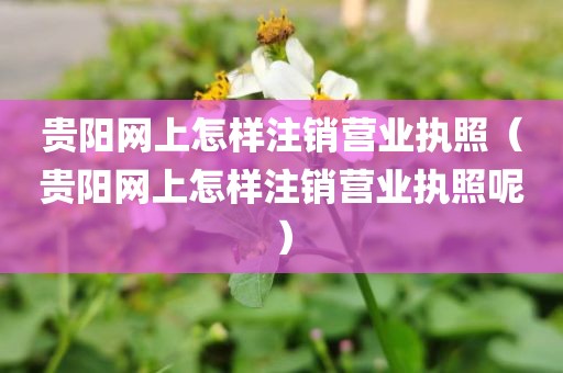 贵阳网上怎样注销营业执照（贵阳网上怎样注销营业执照呢）