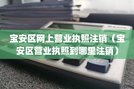 宝安区网上营业执照注销（宝安区营业执照到哪里注销）