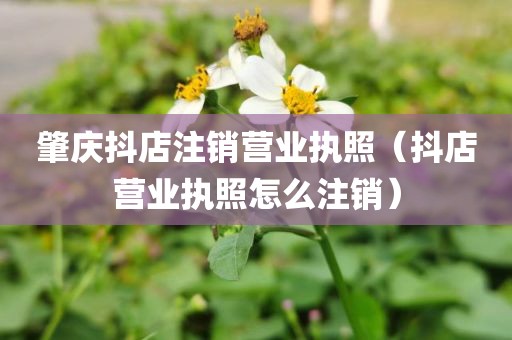 肇庆抖店注销营业执照（抖店营业执照怎么注销）