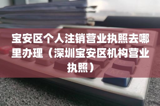 宝安区个人注销营业执照去哪里办理（深圳宝安区机构营业执照）