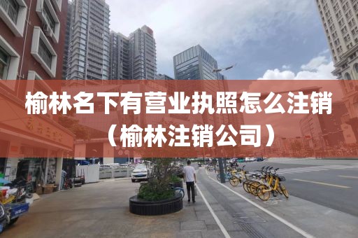 榆林名下有营业执照怎么注销（榆林注销公司）