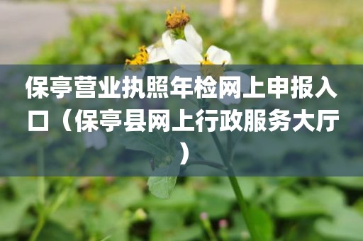 保亭营业执照年检网上申报入口（保亭县网上行政服务大厅）