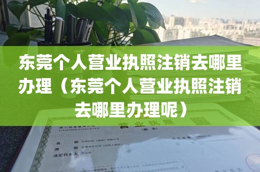 东莞个人营业执照注销去哪里办理(东莞个人营业执照注销去哪里办理呢)