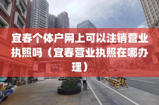 宜春个体户网上可以注销营业执照吗（宜春营业执照在哪办理）