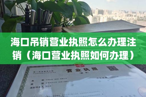 海口吊销营业执照怎么办理注销（海口营业执照如何办理）