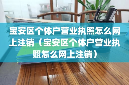 宝安区个体户营业执照怎么网上注销（宝安区个体户营业执照怎么网上注销）