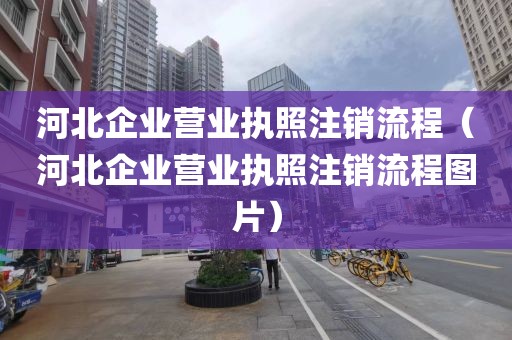 河北企业营业执照注销流程（河北企业营业执照注销流程图片）