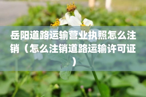 岳阳道路运输营业执照怎么注销（怎么注销道路运输许可证）