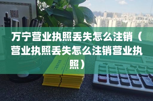 万宁营业执照丢失怎么注销（营业执照丢失怎么注销营业执照）