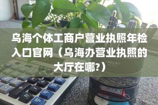 乌海个体工商户营业执照年检入口官网(乌海办营业执照的大厅在哪?)